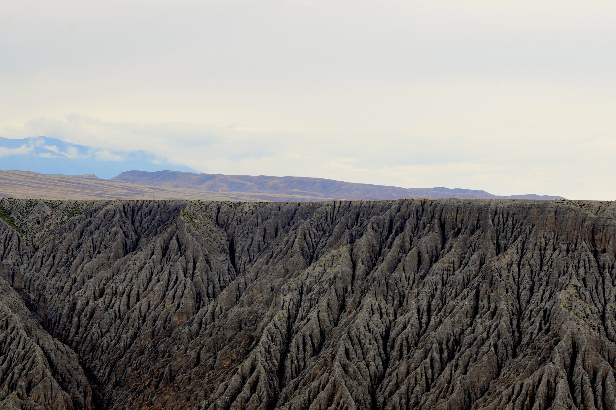 A rugged landscape