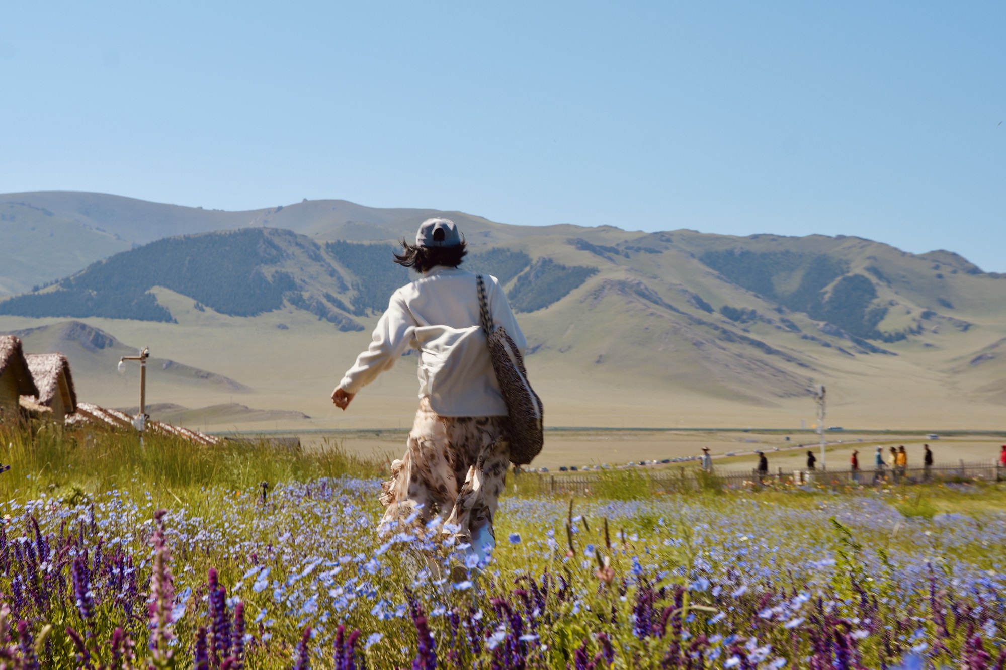 A person walking through a field of flowers