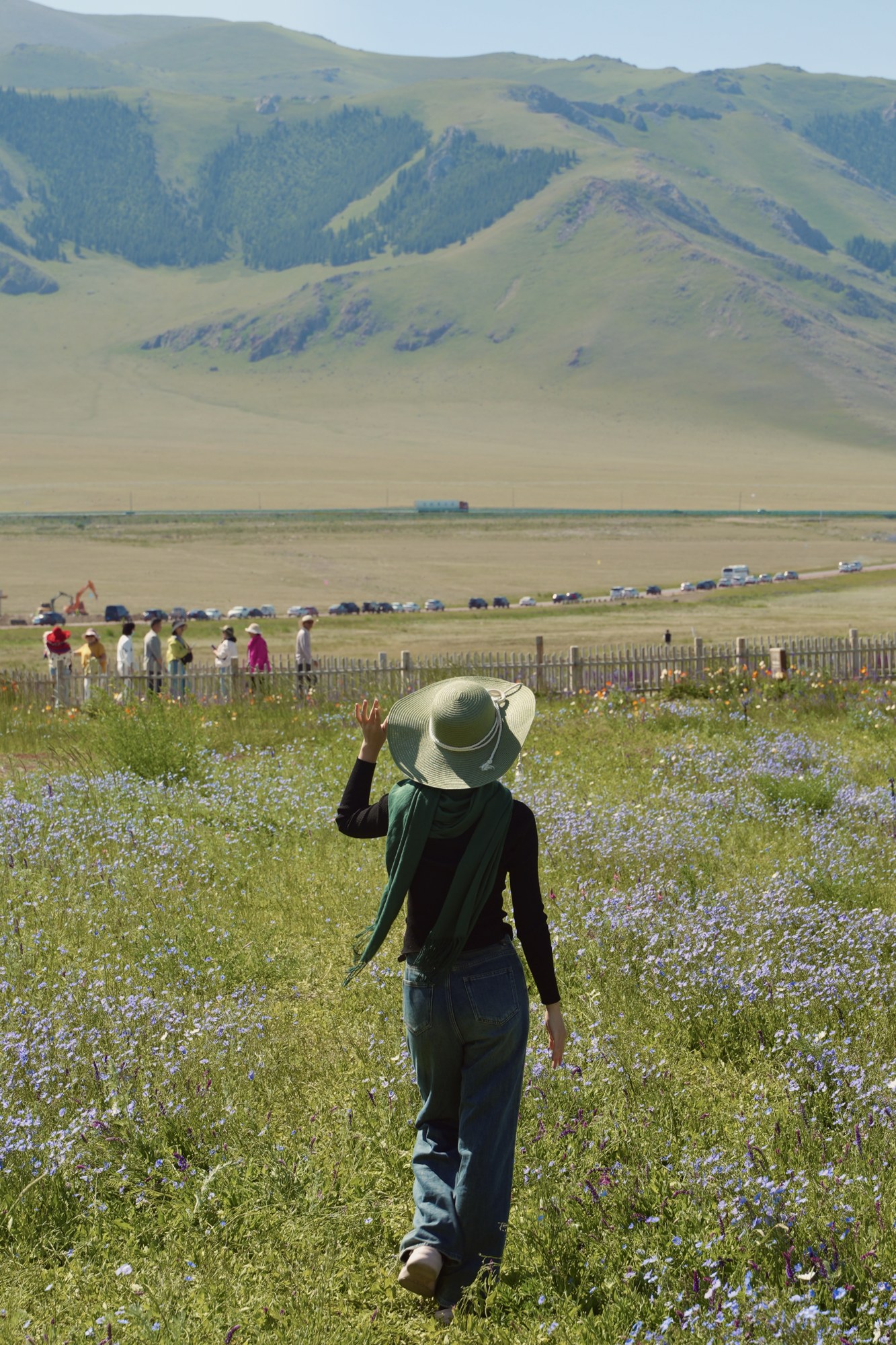 A person standing in a meadow