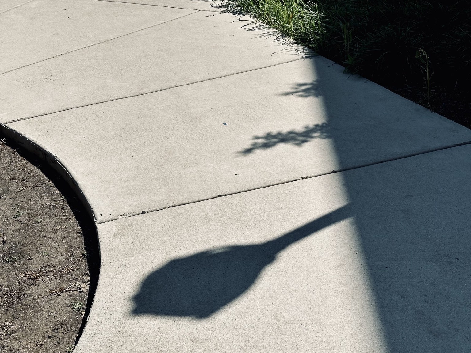 A long shadow stretching across a curved walkway