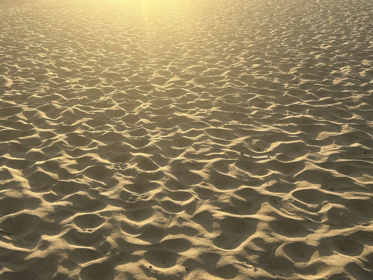 Golden light falling across rippled sand