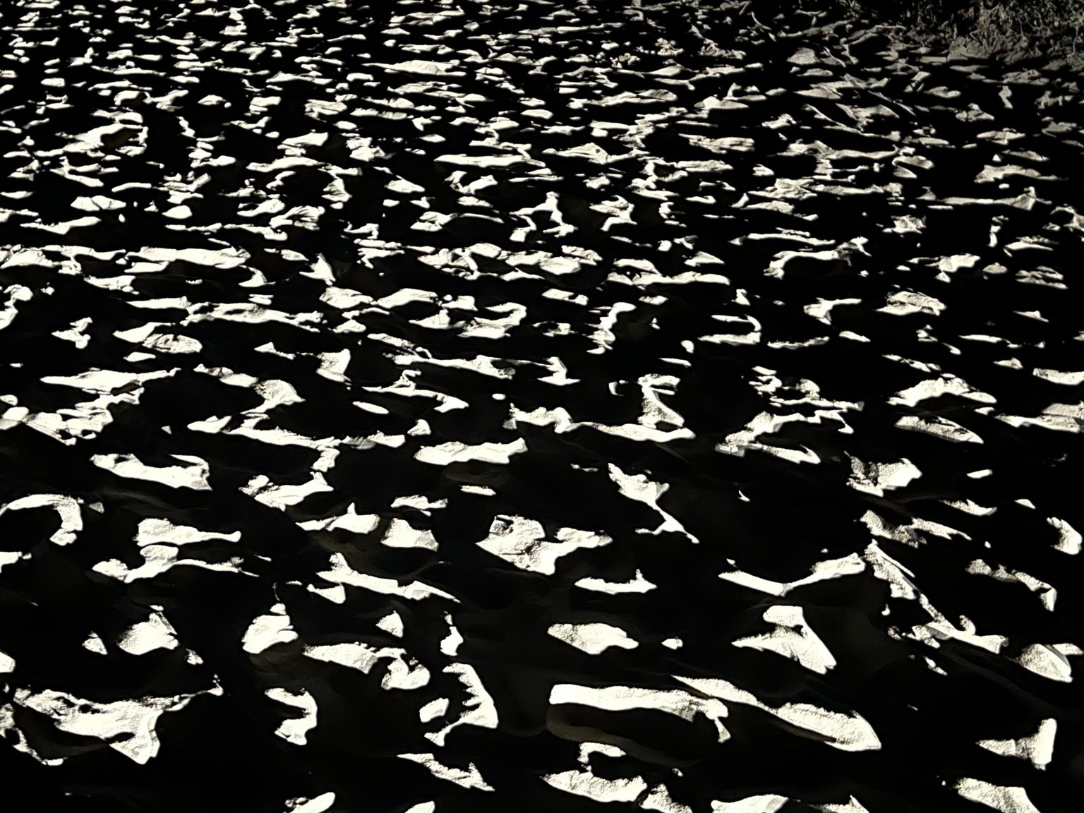 A black-and-white study of rippled sand