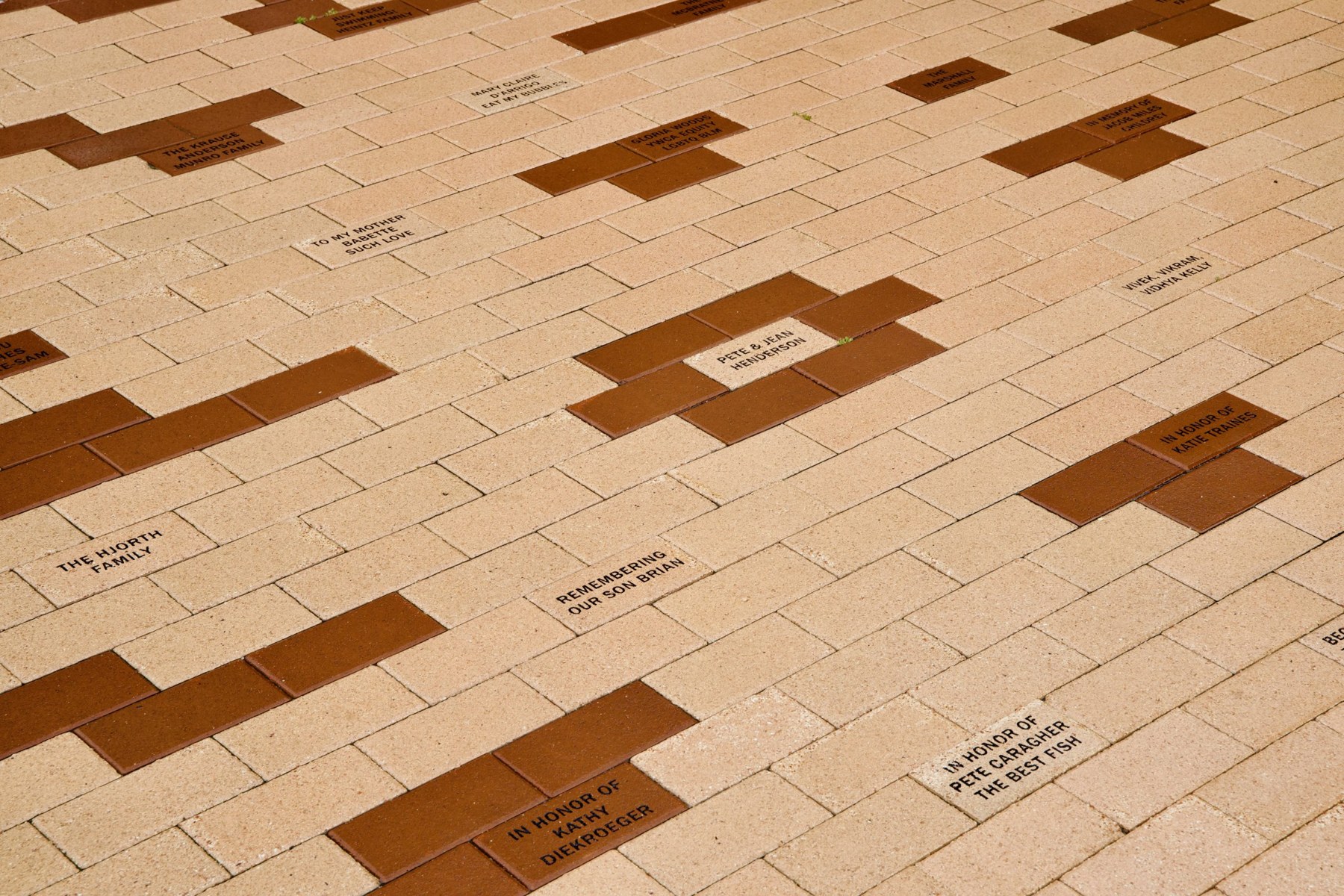 On the pathway leading up to the swim center are carved names on bricks to honor Flying Fish community members. One brick reads, “IN HONOR OF PETE CARAGHER, THE BEST FISH.”