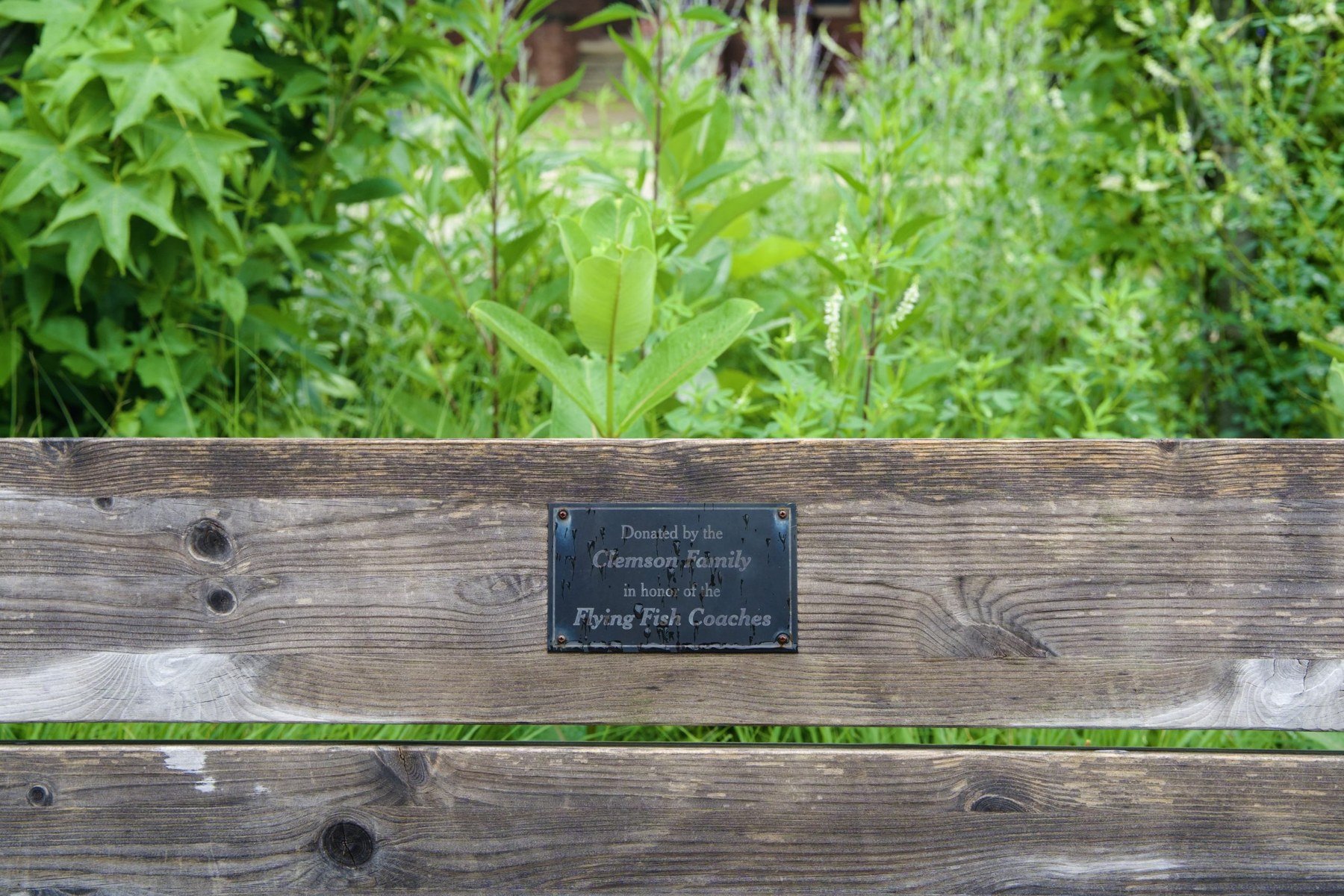 A bench outside the swim facility. The nameplate reads: “Donated by the Clemson Family in honor of the Flying Fish Coaches.”