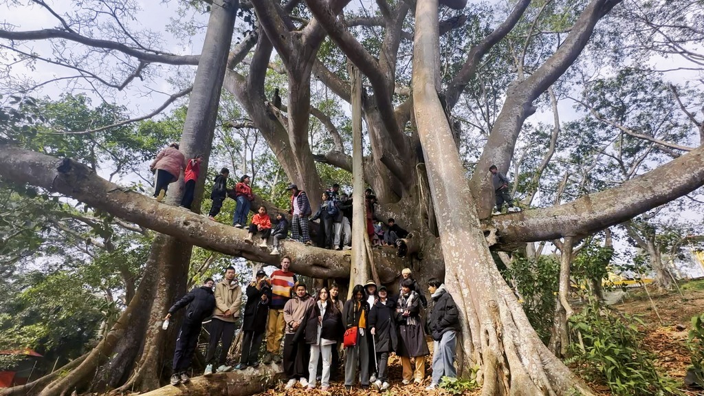Prop Roots children gather around a large banyan tree.