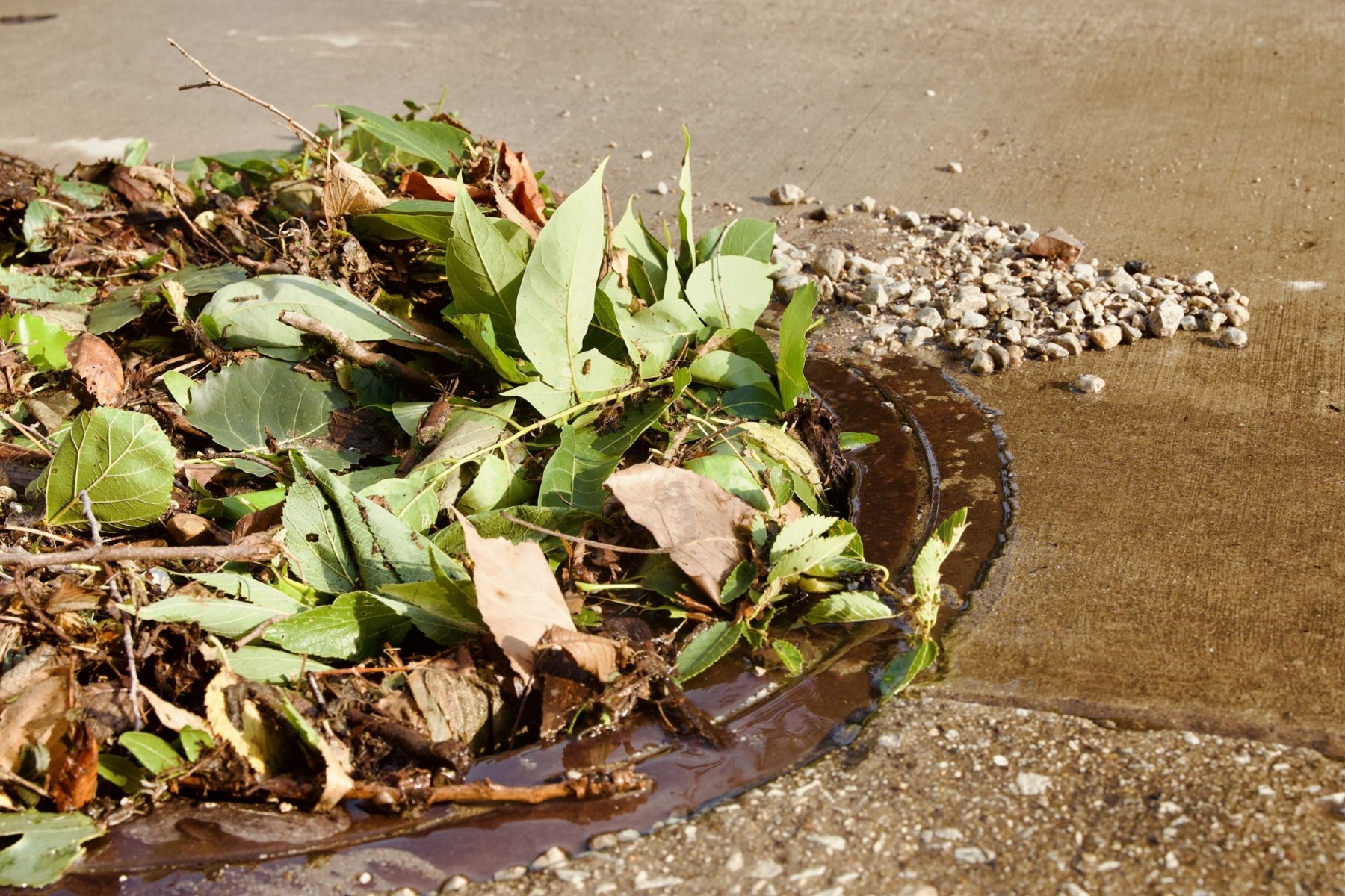 Debris piles up near a drain after the storm.