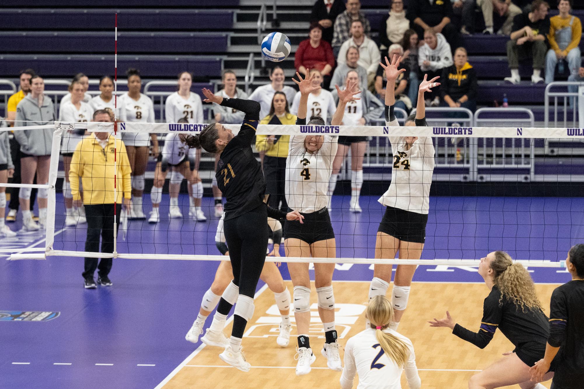 Senior outside hitter Rylen Reid spikes the ball toward two Iowa players.